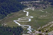 79 Nastro d'argento nel verde della valle di Preda Rossa